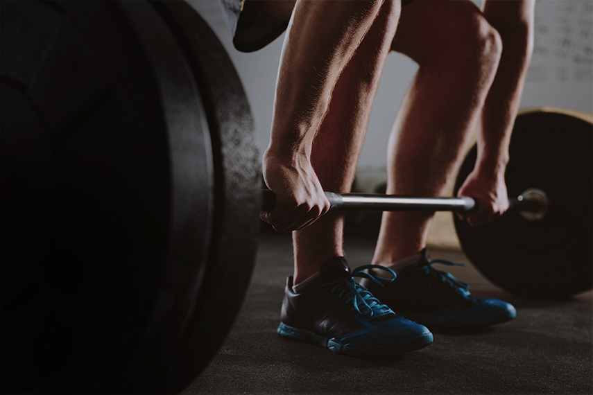 F&aring; viden om tr&aelig;ning her