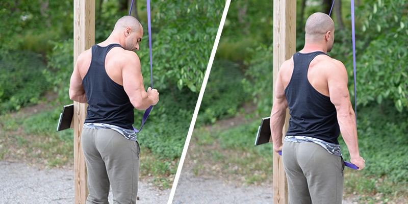 Enbart band (triceps)